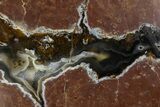 Polished, Black Rock Desert Thunderegg (Half) - Nevada #376196-1